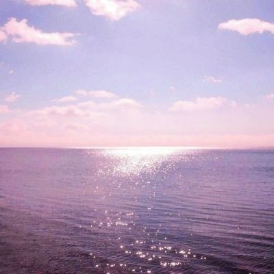 bob半岛平台下载