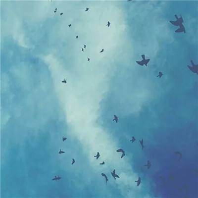 ag真人平台官方app下载