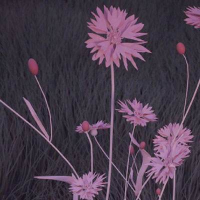 一分快3官方网址