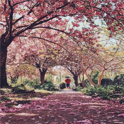 乐虎国际下载手机版