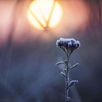 奔驰宝马游戏下载