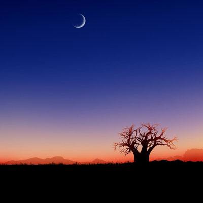 爱游戏全站手机app下载