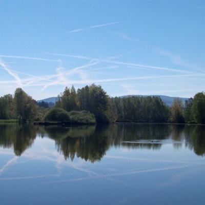 196娱乐平台下载