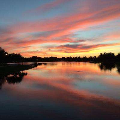 乐虎国际下载手机版截图