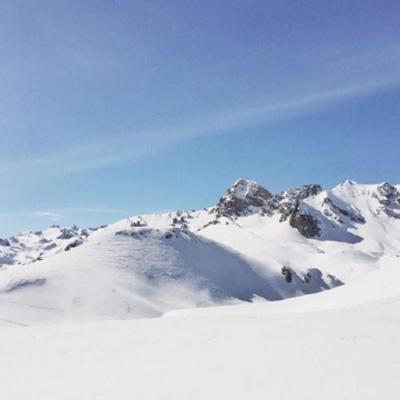 NG体育·(南宫)app下载